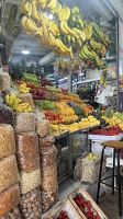 IMG 5065 &ndash; &copy; Manuel Gonzalez Urrutia (Eberhardt TRAVEL)