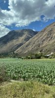 IMG 5228 &ndash; &copy; Manuel Gonzalez Urrutia (Eberhardt TRAVEL)