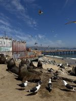 IMG 6598 &ndash; &copy; Manuel Gonzalez Urrutia (Eberhardt TRAVEL)