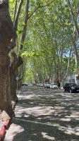 IMG 7177 &ndash; &copy; Manuel Gonzalez Urrutia (Eberhardt TRAVEL)
