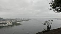 IMG 7942