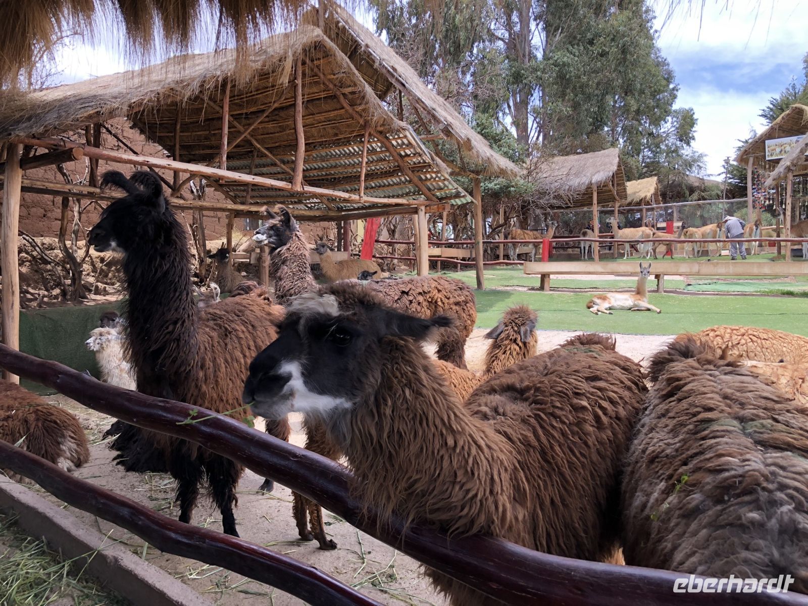 Manos de la Comunidad  &ndash; &copy; Francisco Javier Burgos Gutierrez (Eberhardt TRAVEL)