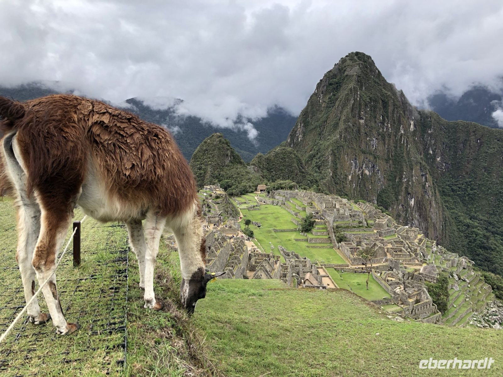 MachuPicchu  &ndash; &copy; Francisco Javier Burgos Gutierrez (Eberhardt TRAVEL)