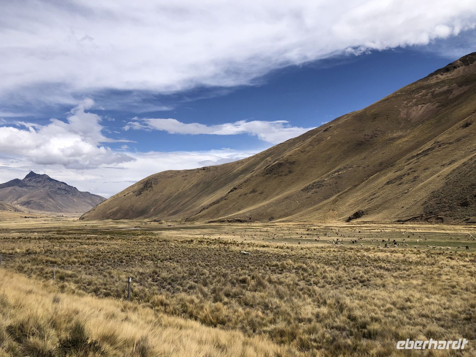 Altiplano  &ndash; &copy; Francisco Javier Burgos Gutierrez (Eberhardt TRAVEL)