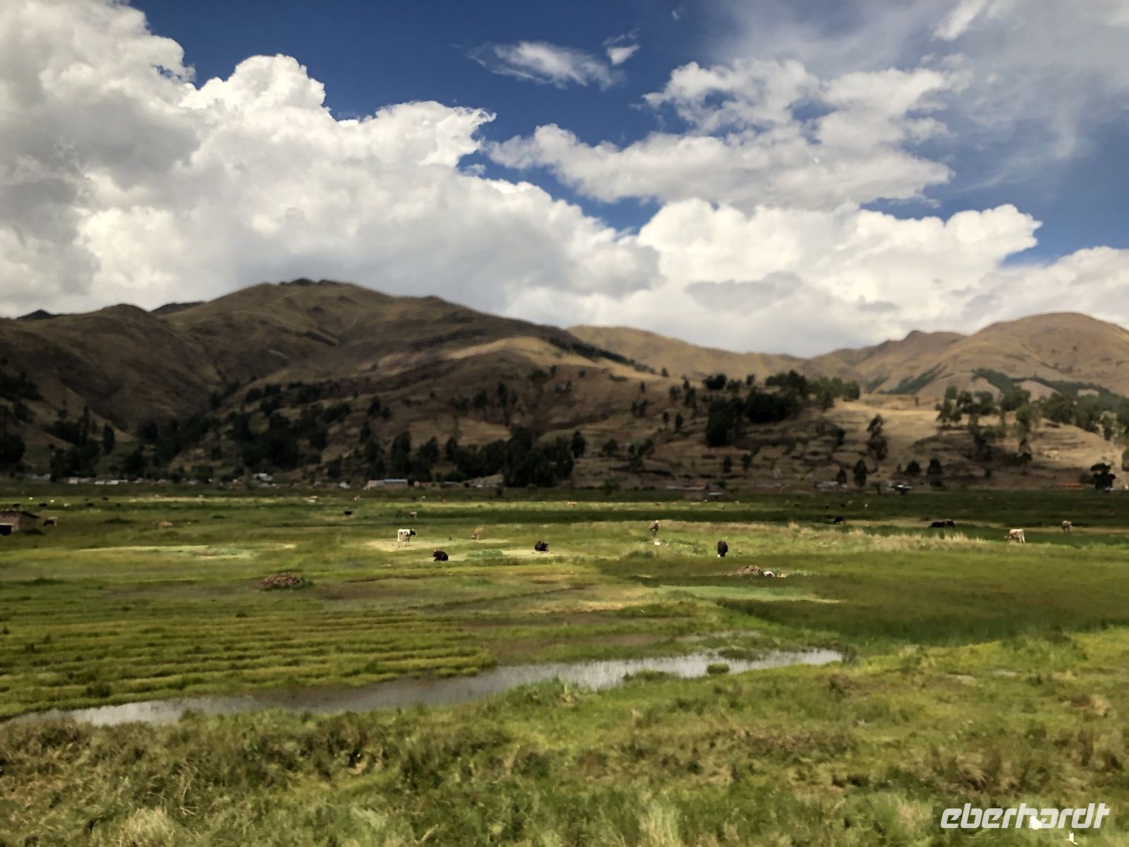 Altiplano  &ndash; &copy; Francisco Javier Burgos Gutierrez (Eberhardt TRAVEL)