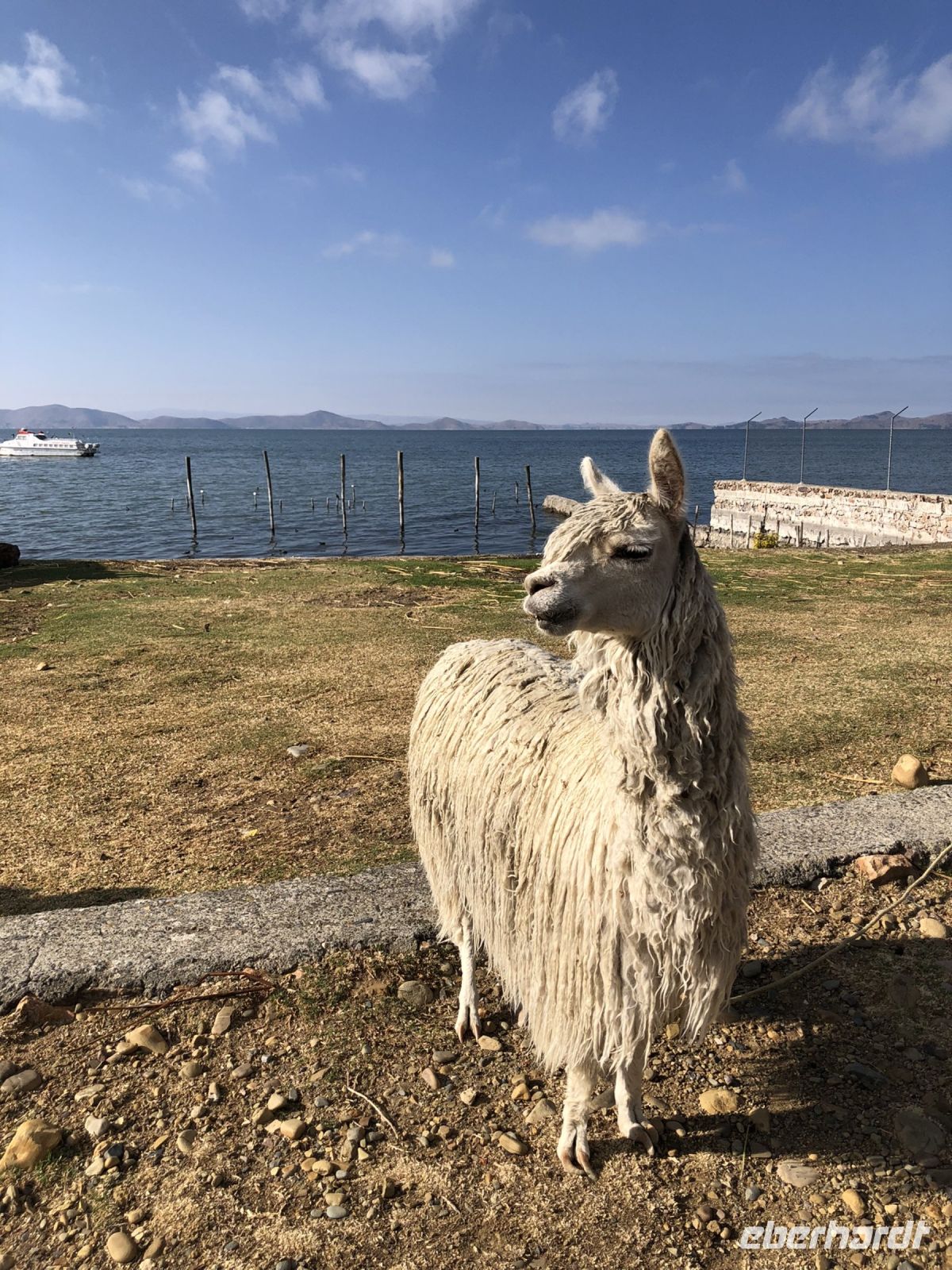 Titicaca  &ndash; &copy; Francisco Javier Burgos Gutierrez (Eberhardt TRAVEL)