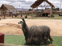 Manos de la Comunidad &ndash; &copy; Francisco Javier Burgos Gutierrez (Eberhardt TRAVEL)