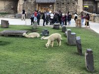 Ollantaytambo  &ndash; &copy; Francisco Javier Burgos Gutierrez (Eberhardt TRAVEL)