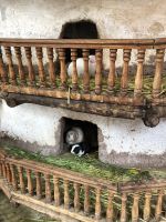 Pisaq &ndash; &copy; Francisco Javier Burgos Gutierrez (Eberhardt TRAVEL)
