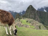 MachuPicchu  &ndash; &copy; Francisco Javier Burgos Gutierrez (Eberhardt TRAVEL)