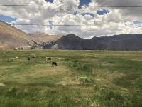 Altiplano  &ndash; &copy; Francisco Javier Burgos Gutierrez (Eberhardt TRAVEL)