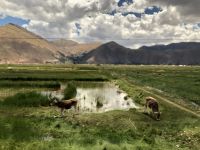 Altiplano &ndash; &copy; Francisco Javier Burgos Gutierrez (Eberhardt TRAVEL)