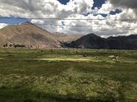 Altiplano  &ndash; &copy; Francisco Javier Burgos Gutierrez (Eberhardt TRAVEL)