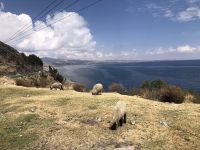 Puno  &ndash; &copy; Francisco Javier Burgos Gutierrez (Eberhardt TRAVEL)