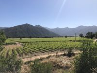 Maipo &ndash; &copy; Francisco Javier Burgos Gutierrez (Eberhardt TRAVEL)