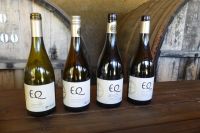 Weingut Matetic, Weinverkostung &ndash; &copy; Frank Nimschowski (Eberhardt TRAVEL)