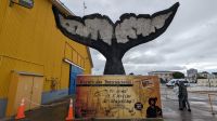 Punta Arenas