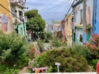 Alles gruen macht der … Februar &ndash; &copy; Elisabeth Fox-Maerki (Eberhardt TRAVEL)