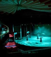 Das Regenballet &ndash; &copy; Elisabeth Fox-Maerki (Eberhardt TRAVEL)
