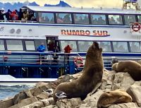 Oink oink oink nicht die Rumbo Sur &ndash; &copy; Elisabeth Fox-Maerki (Eberhardt TRAVEL)