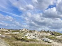 Felsen wachsen  &ndash; &copy; Elisabeth Fox-Maerki (Eberhardt TRAVEL)