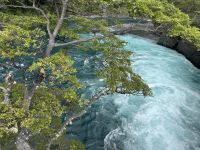 Chile - Puerto Varas - Petrohue &ndash; &copy; Sabine Letzybyll (Eberhardt TRAVEL)