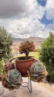 Konvent Santo Domingo, Cusco, Perú &ndash; &copy; Manuel González Urrutia (Eberhardt TRAVEL)