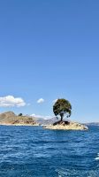 Titicaca See, Bolivien