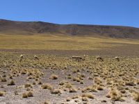 Atacama  &ndash; &copy; Francisco Javier Burgos Gutierrez (Eberhardt TRAVEL)