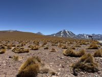 Atacama  &ndash; &copy; Francisco Javier Burgos Gutierrez (Eberhardt TRAVEL)