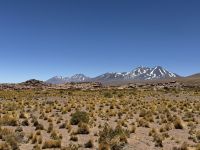 Atacama  &ndash; &copy; Francisco Javier Burgos Gutierrez (Eberhardt TRAVEL)