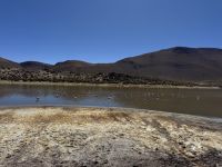Tatio  &ndash; &copy; Francisco Javier Burgos Gutierrez (Eberhardt TRAVEL)