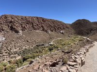 Puritama  &ndash; &copy; Francisco Javier Burgos Gutierrez (Eberhardt TRAVEL)