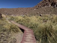 Puritama  &ndash; &copy; Francisco Javier Burgos Gutierrez (Eberhardt TRAVEL)