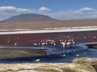 Nationalpark Eduardo Avaroa  &ndash; &copy; Francisco Javier Burgos Gutierrez (Eberhardt TRAVEL)