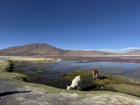Nationalpark Eduardo Avaroa  &ndash; &copy; Francisco Javier Burgos Gutierrez (Eberhardt TRAVEL)