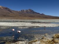 Nationalpark Eduardo Avaroa  &ndash; &copy; Francisco Javier Burgos Gutierrez (Eberhardt TRAVEL)
