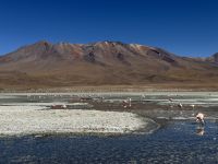 Nationalpark Eduardo Avaroa  &ndash; &copy; Francisco Javier Burgos Gutierrez (Eberhardt TRAVEL)