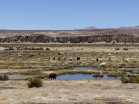 Nationalpark Eduardo Avaroa  &ndash; &copy; Francisco Javier Burgos Gutierrez (Eberhardt TRAVEL)