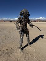 Uyuni  &ndash; &copy; Francisco Javier Burgos Gutierrez (Eberhardt TRAVEL)
