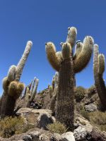 Salzsee Uyuni  &ndash; &copy; Francisco Javier Burgos Gutierrez (Eberhardt TRAVEL)