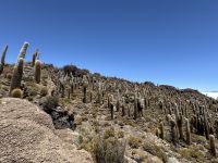Salzsee Uyuni  &ndash; &copy; Francisco Javier Burgos Gutierrez (Eberhardt TRAVEL)