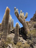 Salzsee Uyuni  &ndash; &copy; Francisco Javier Burgos Gutierrez (Eberhardt TRAVEL)
