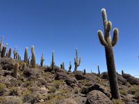 Salzsee Uyuni  &ndash; &copy; Francisco Javier Burgos Gutierrez (Eberhardt TRAVEL)