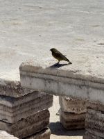 Salzsee Uyuni  &ndash; &copy; Francisco Javier Burgos Gutierrez (Eberhardt TRAVEL)