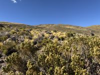 Salzsee Uyuni  &ndash; &copy; Francisco Javier Burgos Gutierrez (Eberhardt TRAVEL)