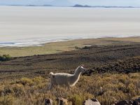 Salzsee Uyuni  &ndash; &copy; Francisco Javier Burgos Gutierrez (Eberhardt TRAVEL)