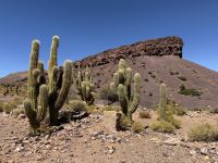 Fahrt nach Potosi  &ndash; &copy; Francisco Javier Burgos Gutierrez (Eberhardt TRAVEL)