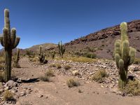 Fahrt nach Potosi  &ndash; &copy; Francisco Javier Burgos Gutierrez (Eberhardt TRAVEL)