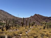 Fahrt nach Potosi  &ndash; &copy; Francisco Javier Burgos Gutierrez (Eberhardt TRAVEL)